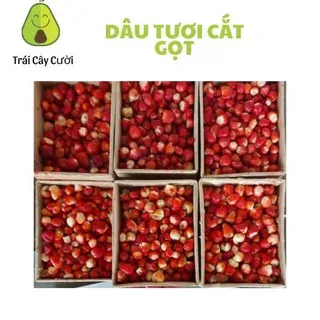 Frozen Strawberry Natural Fruit from Vietnam for Export 0