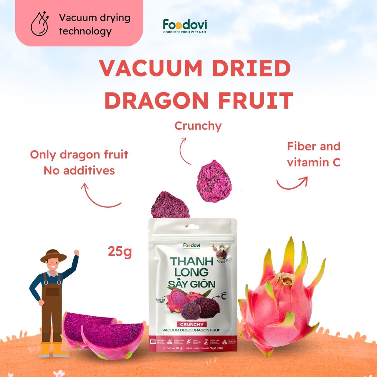 Vacuum Dried Dragon Fruit 0