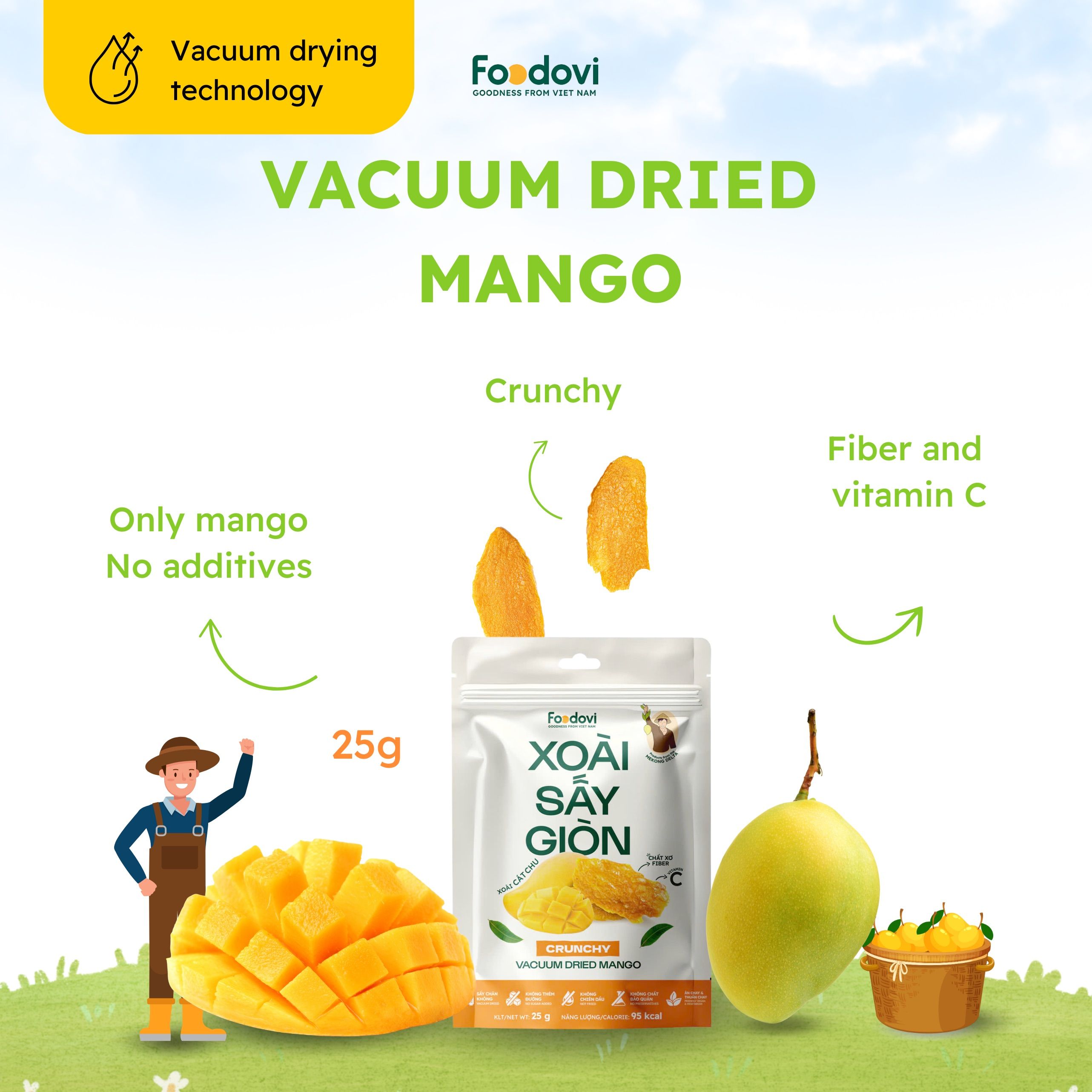 Vacuum Dried Mango 0