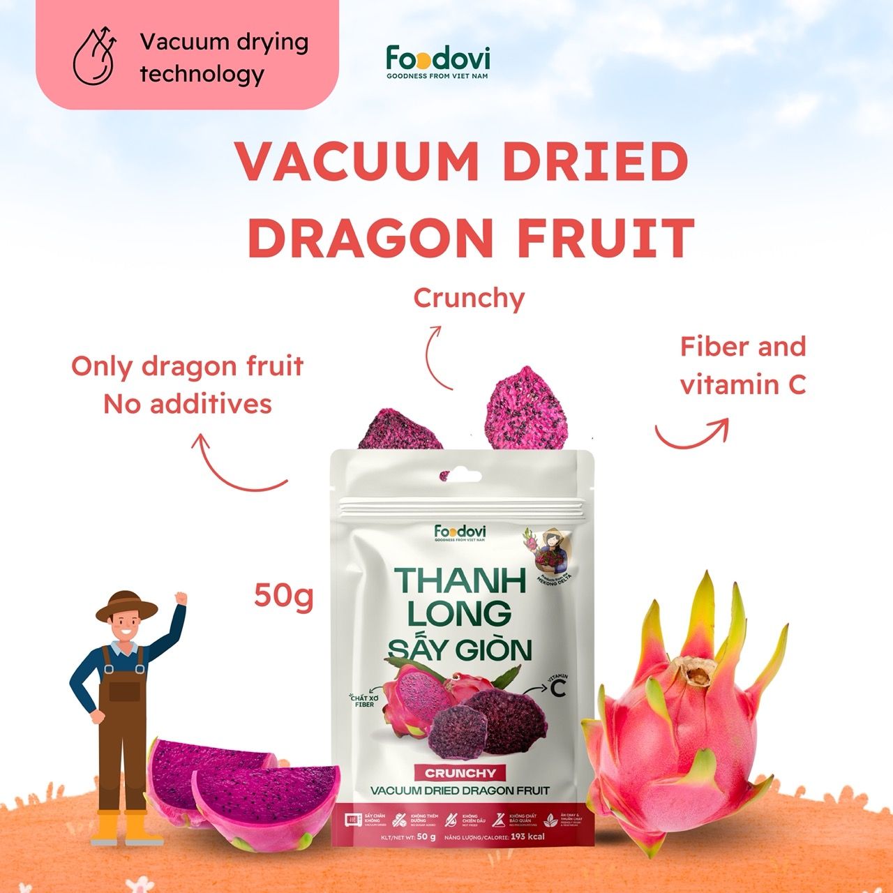 Vacuum Dried Dragon Fruit 1