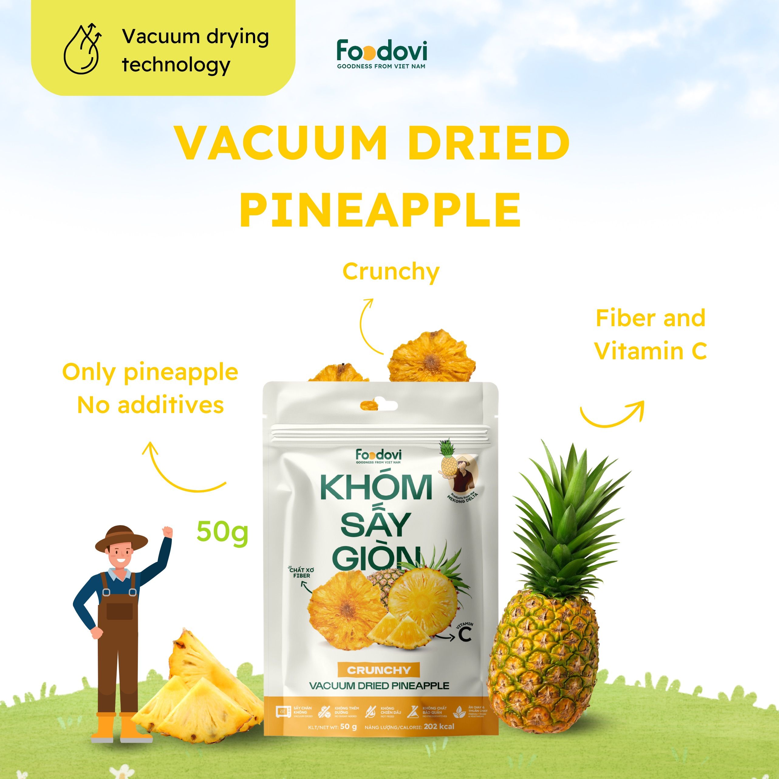 Vacuum Dried Pineapple 1