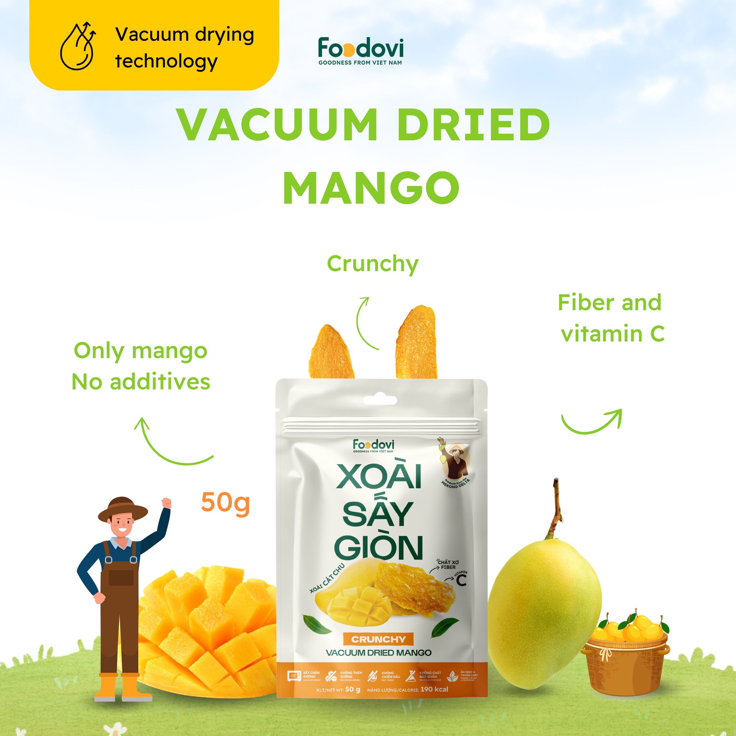 Vacuum Dried Mango 1
