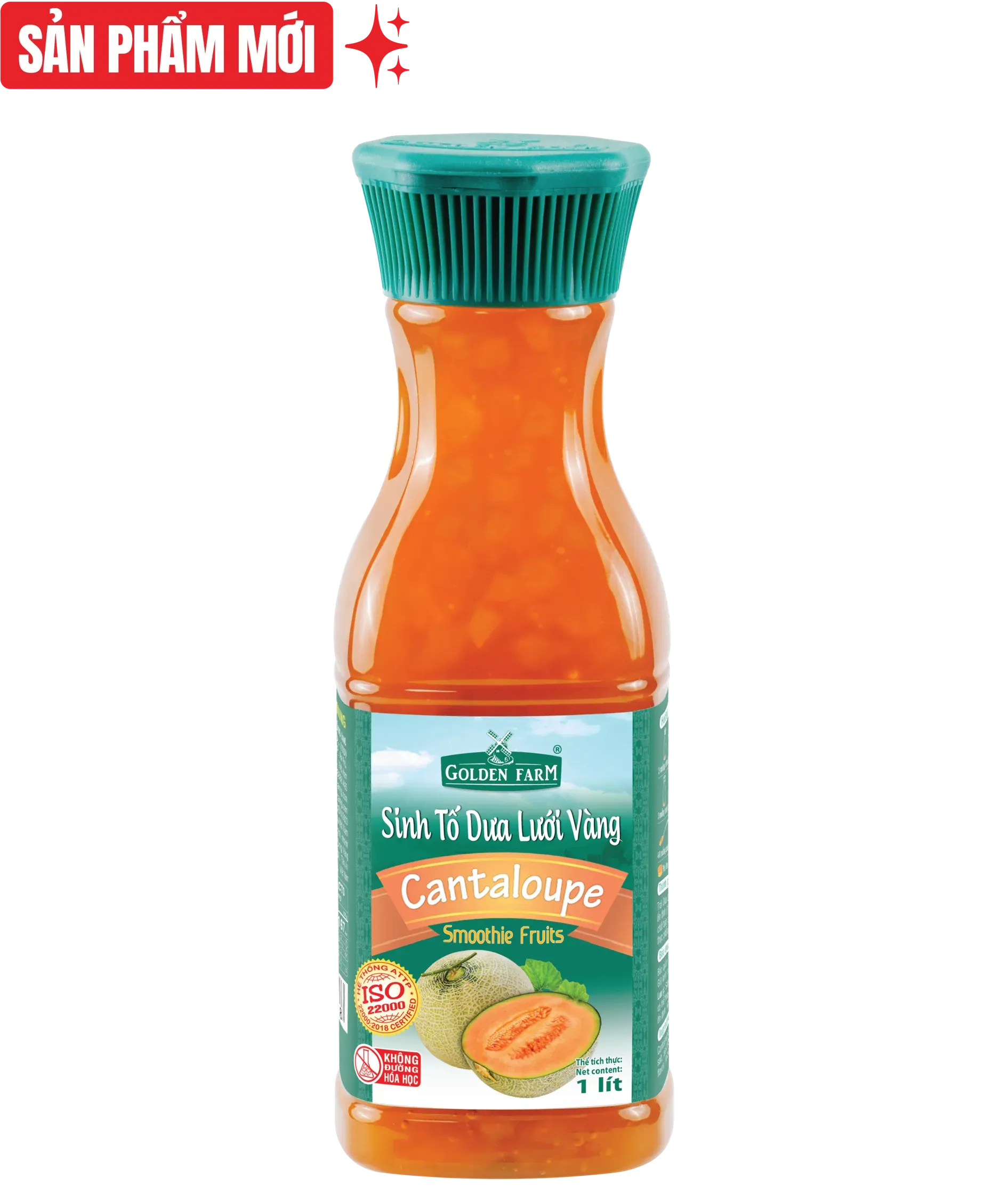 Tropical Fruit Smoothie Ready to Drink from Vietnam for Export