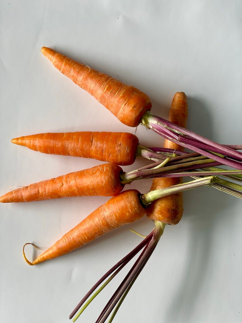 Carrot 0