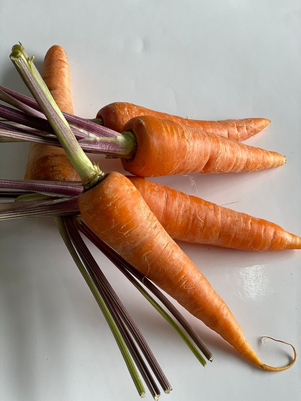 Carrot 