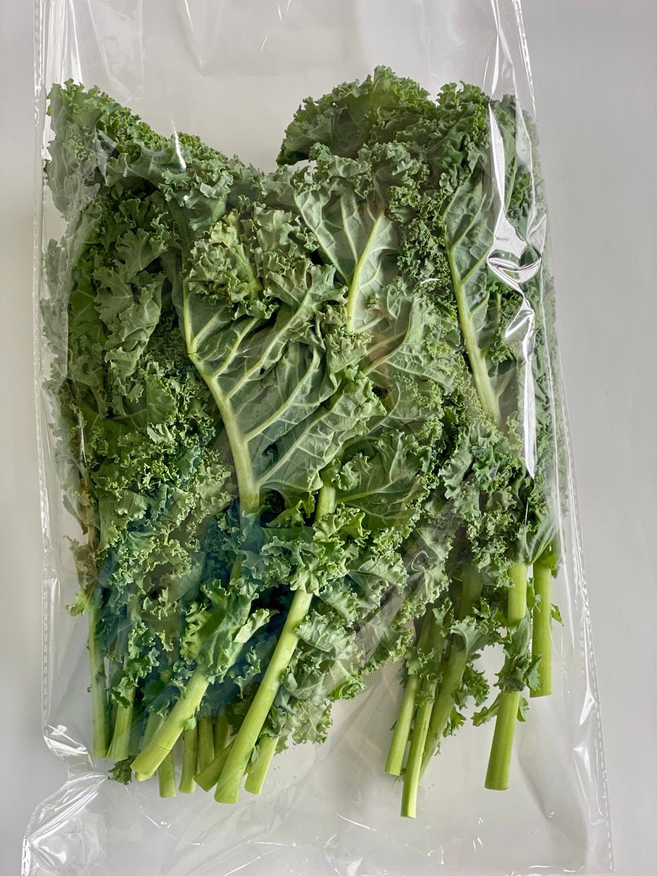 Kale Lettuce 0