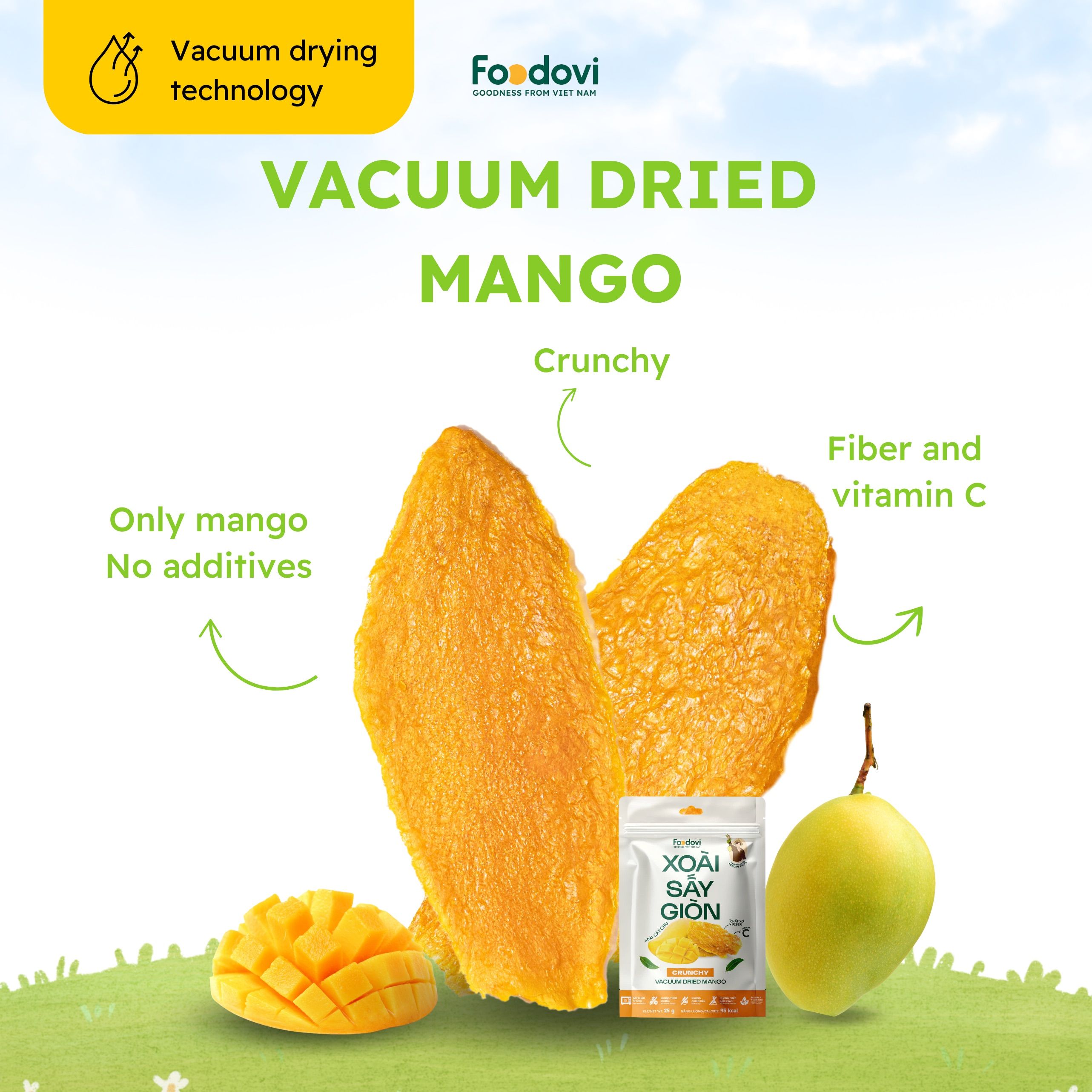 Vacuum Dried Mango