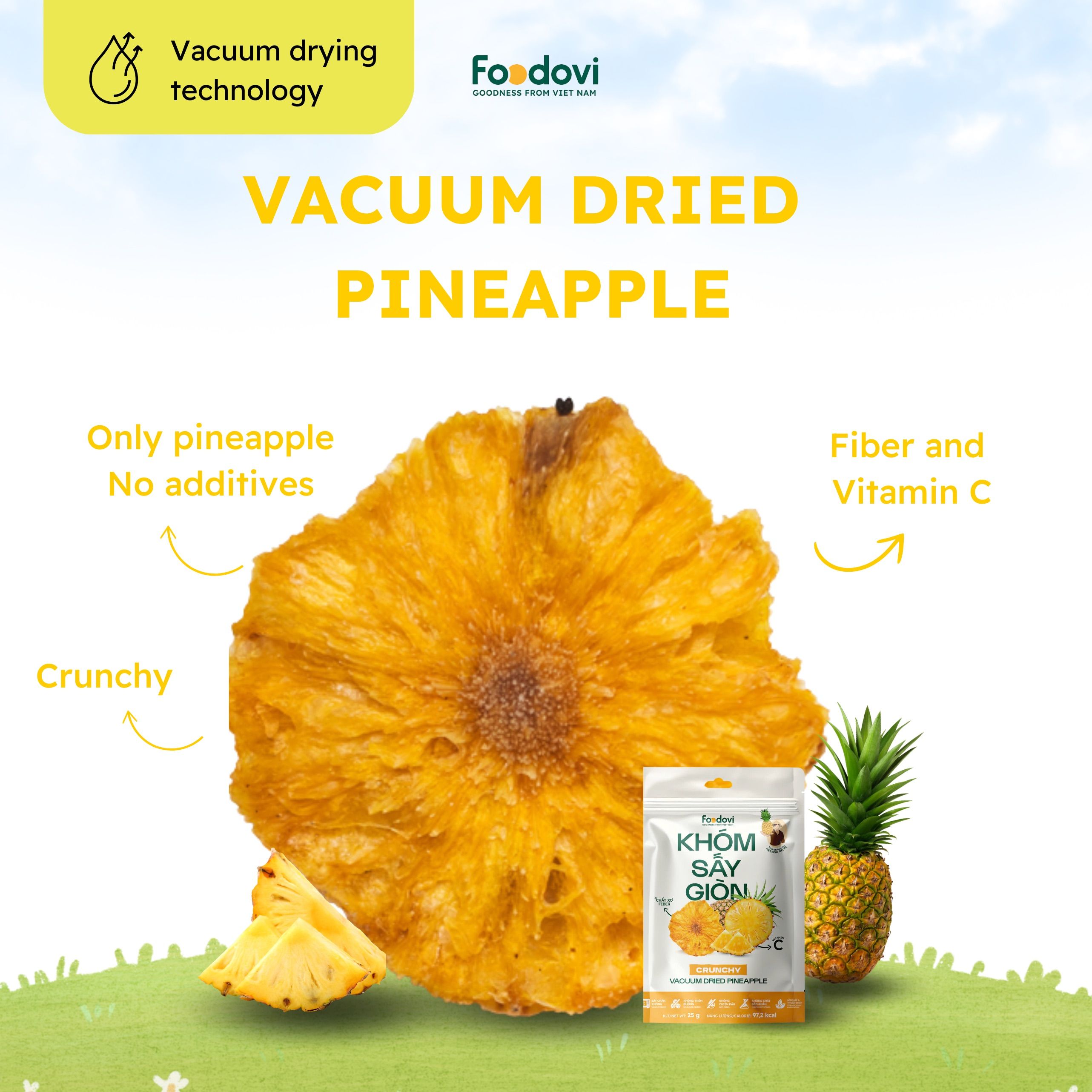 Vacuum Dried Pineapple