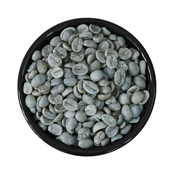 Wet Processed Arabica Lac Duong Green Coffee Bean, S14 16 from Vietnam 0