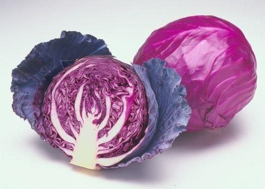 Purple Cabbage
