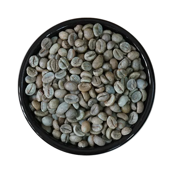 Honey Processed Robusta Green Coffee Bean, S16 18 from Vietnam 0