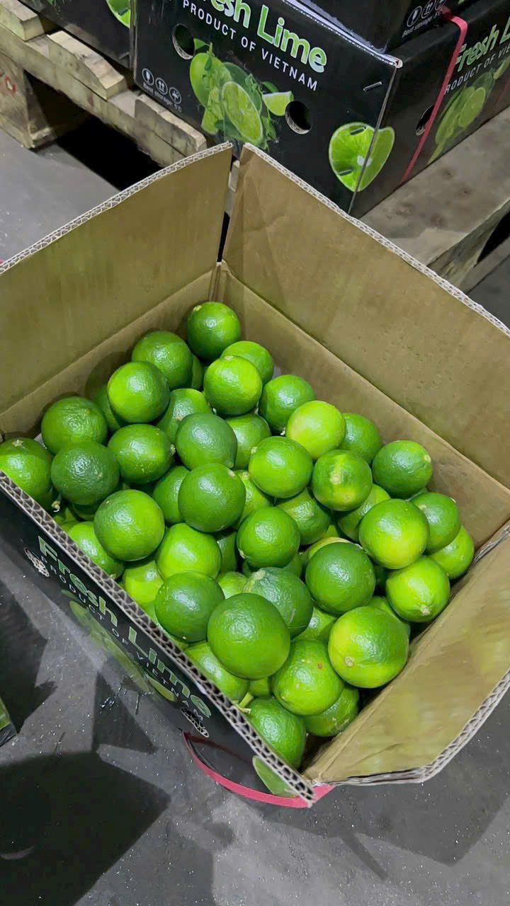 Fresh Lime Seedless fruit 0