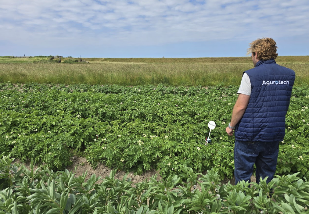 blog9new