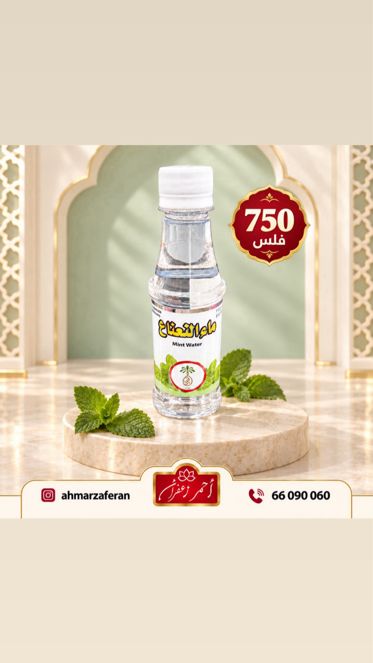 ماء نعناع