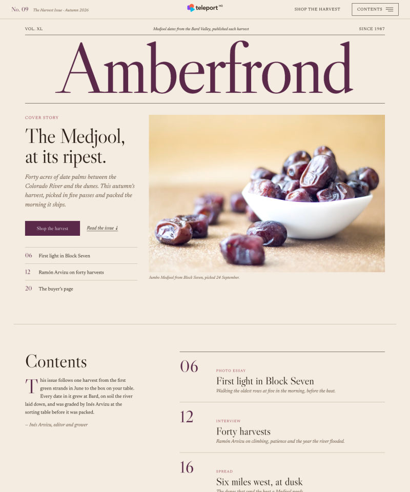 Active online software template