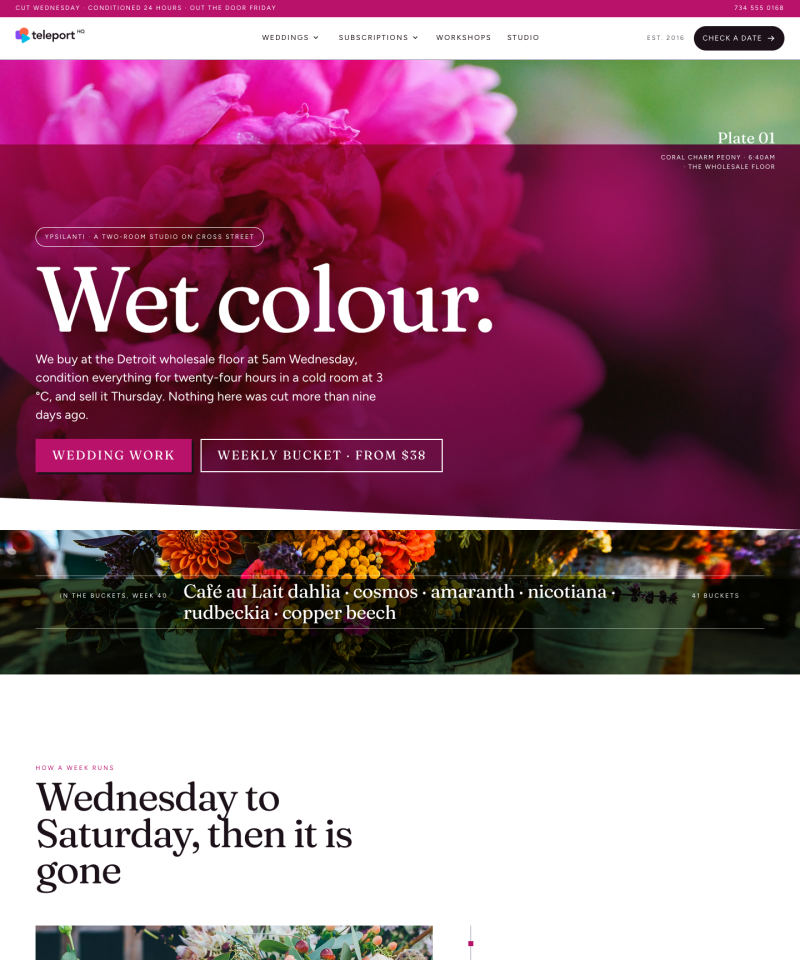 Active online software template