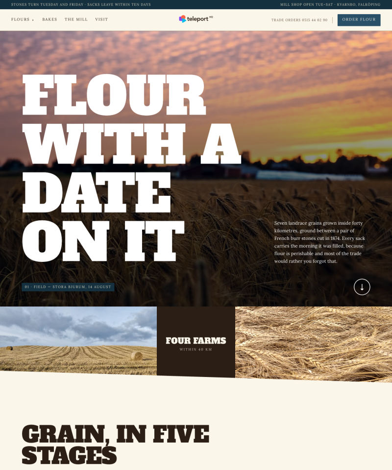 Active online software template