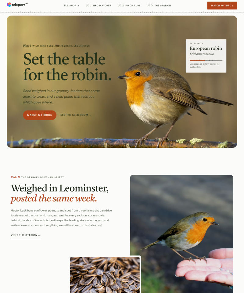 Active online software template