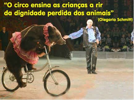 animais circo