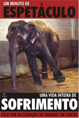 animais circo 2
