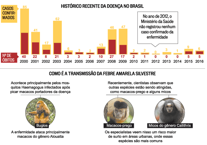 febre-amarela-tema-de-redacao