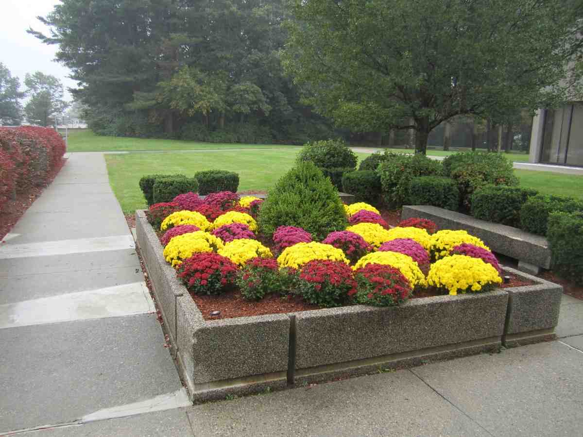 Concrete retaining wall with flower beds - landscape retaining walls