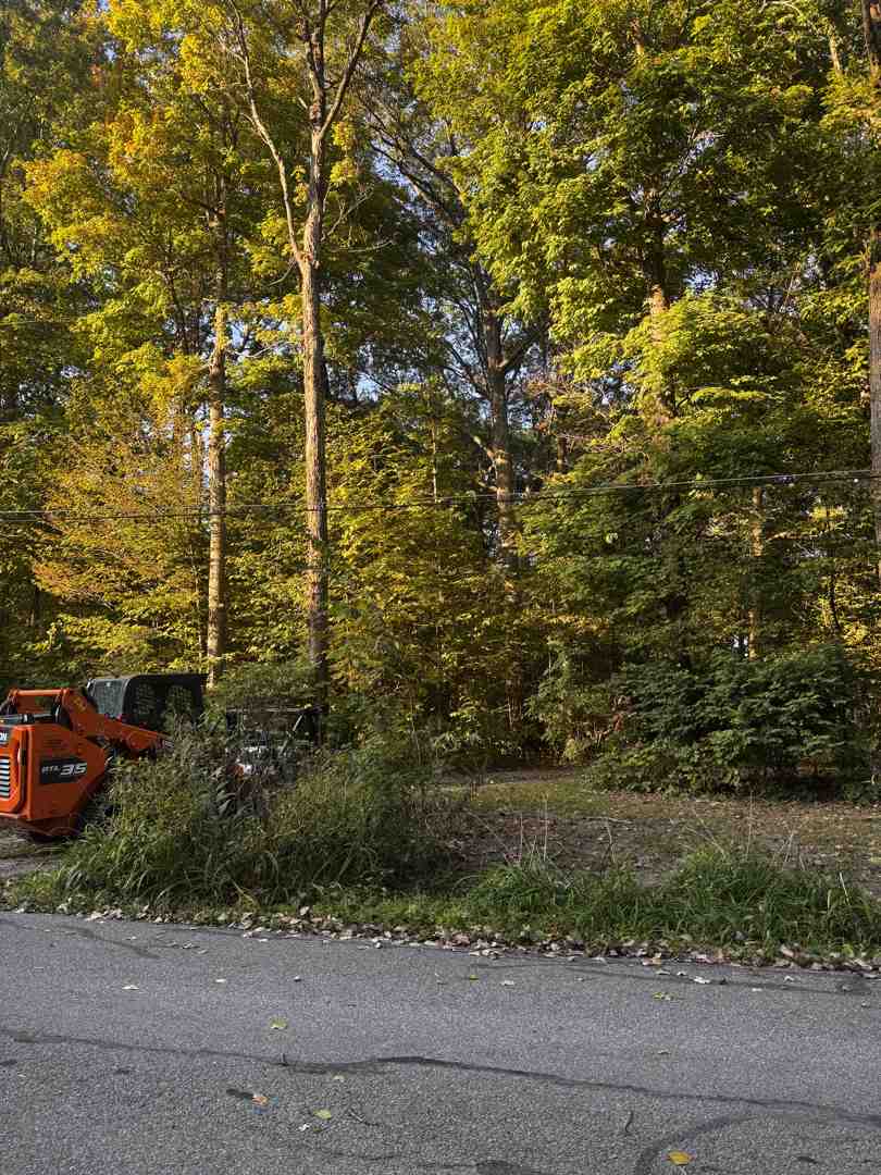 Midwest invasive brush management - fence line clearing