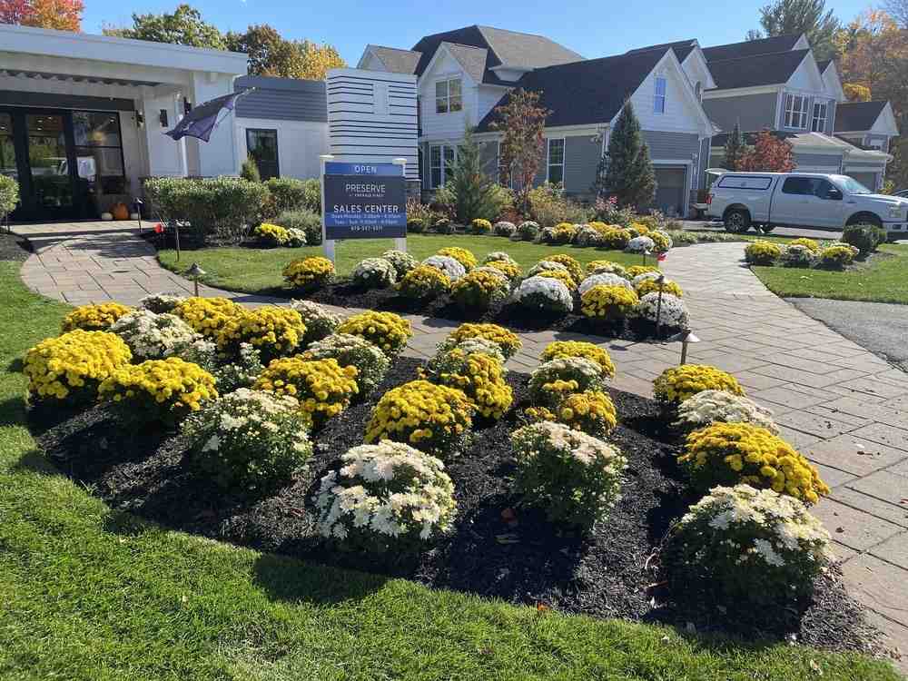 Landscape Design - landscape contractor near me