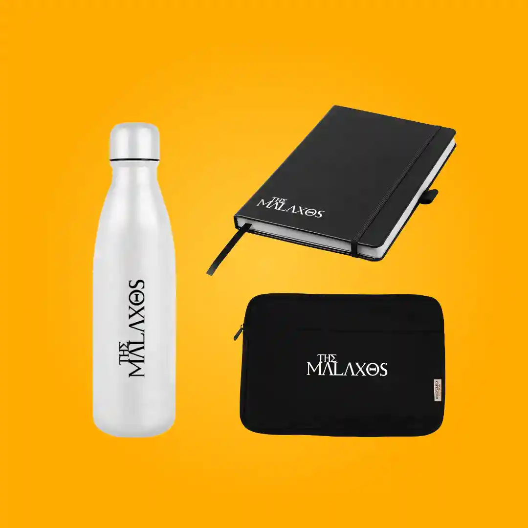 Oasis Stainless Steel Drink Bottle - business merchandise