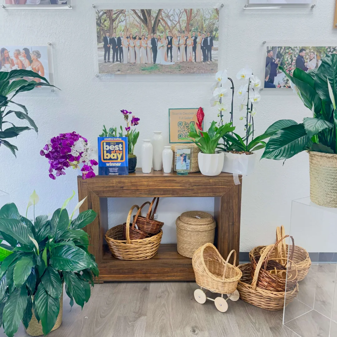 A lush green peace lily in a home setting providing a sense of calm and continuity - send sympathy plant A lush green peace lily in a home setting providing a sense of calm and continuity - send sympathy plant