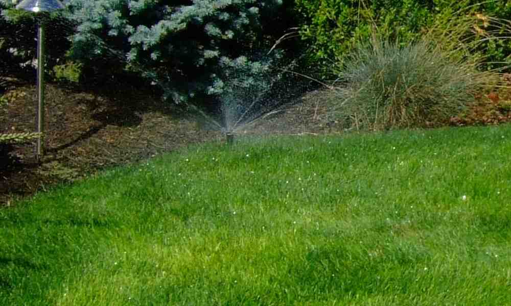 Spring Sprinkler Setup - lawn sprinkler system maintenance