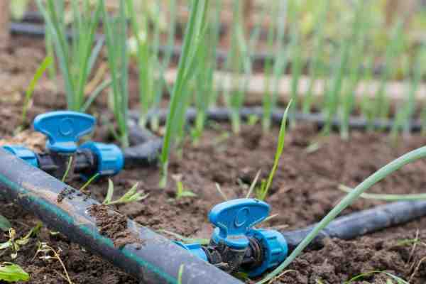 Efficient Irrigation - irrigation design