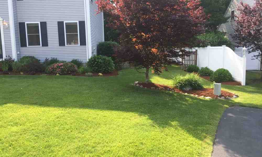 landscaping - lawn care service