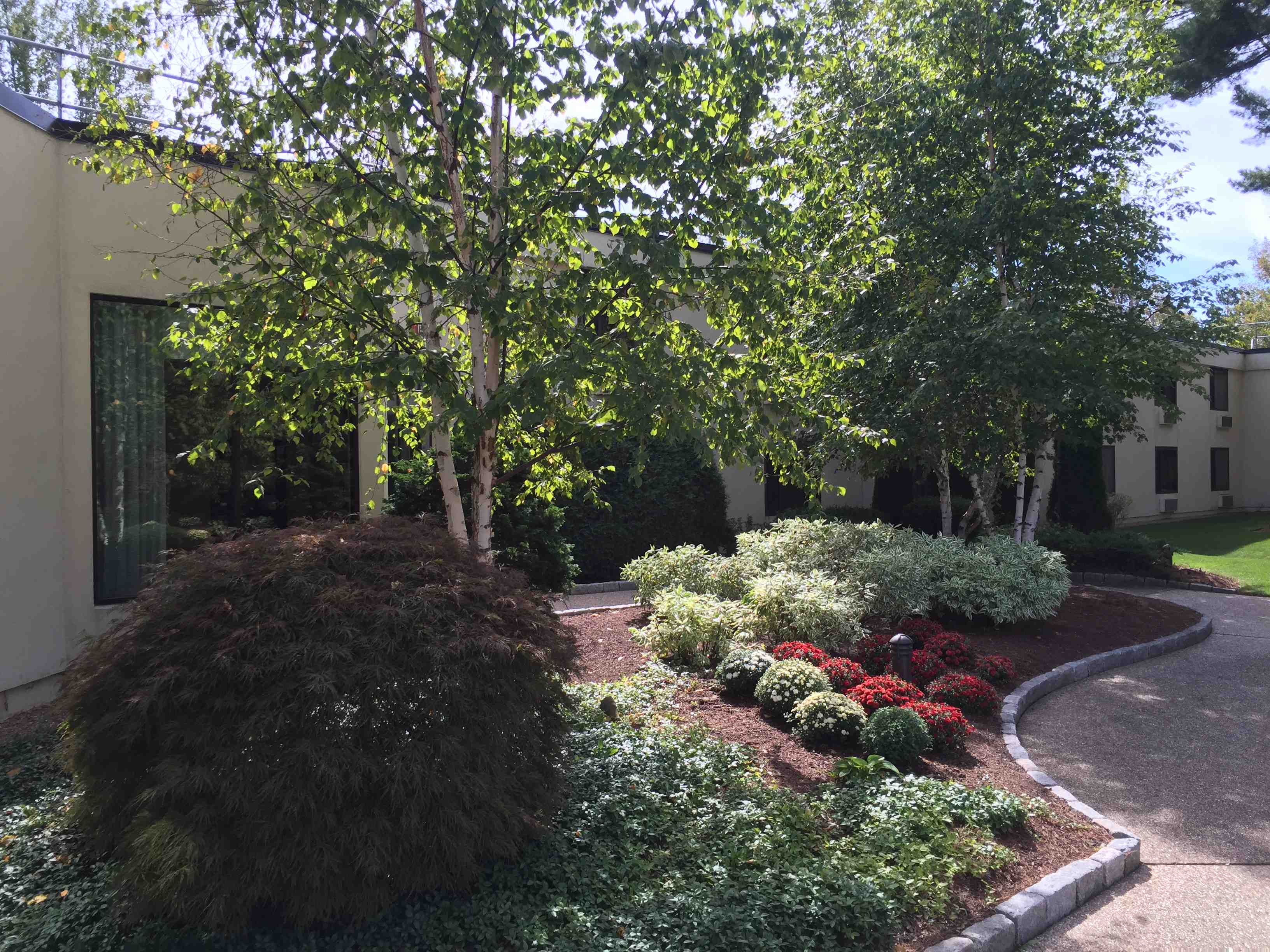 office building landscaping services