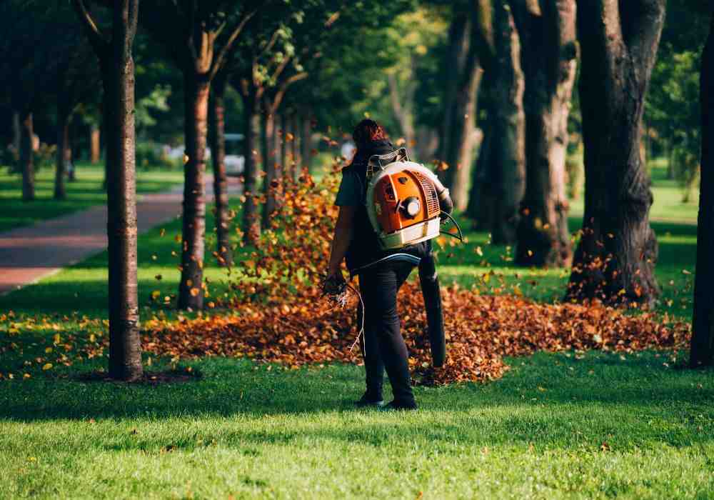 A professional landscaping team performing a fall cleanup on a commercial property - commercial property repairs and maintenance