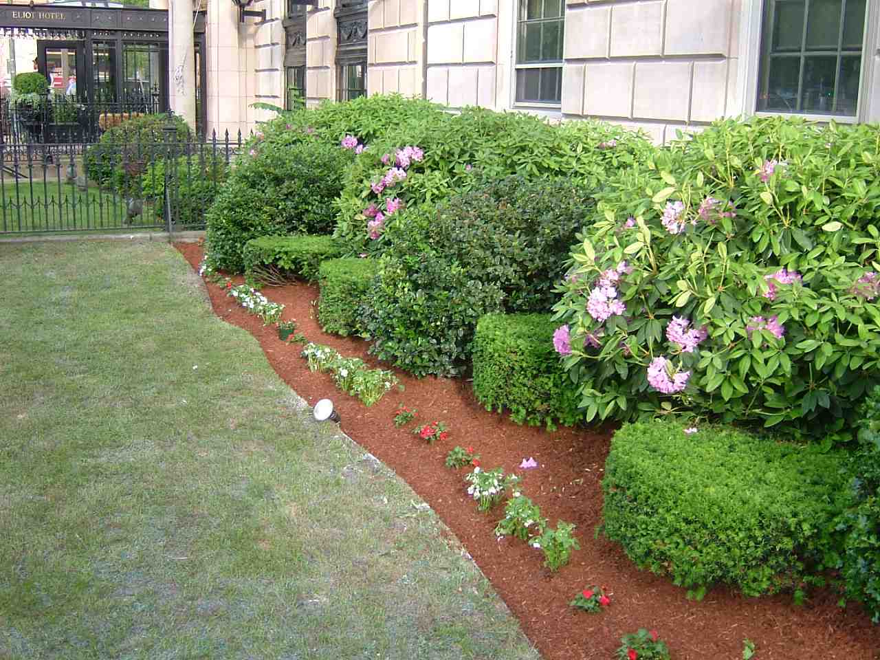 Beautifully landscaped commercial property - landscape services