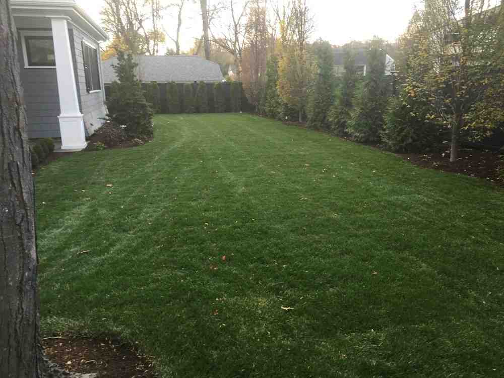 Happy customer with new lawn - lawn installation services