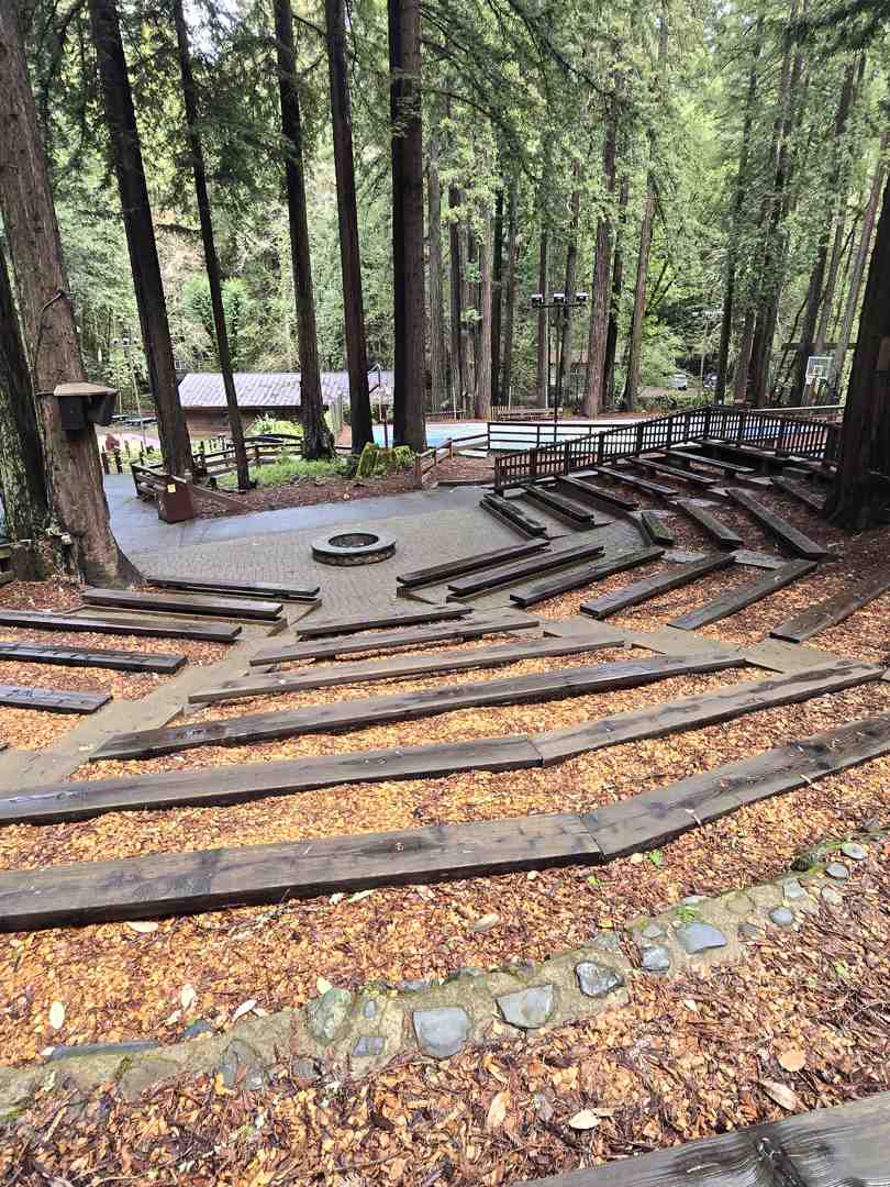 outdoor classroom with log seating - outdoor schooling