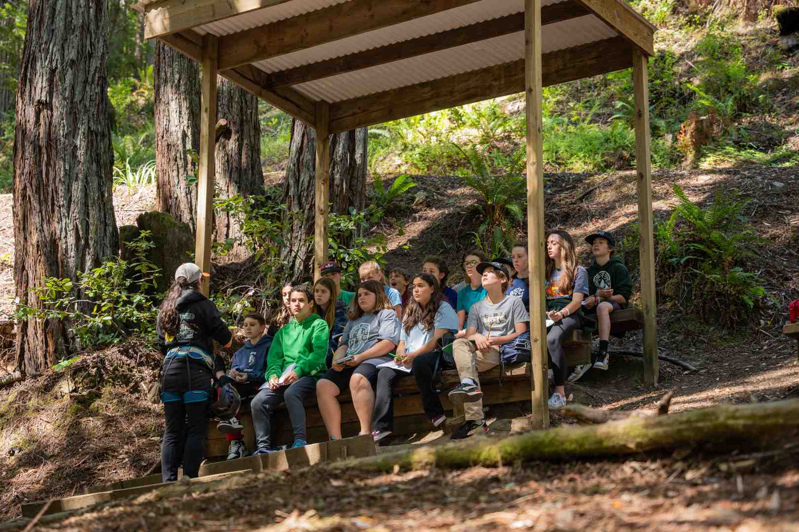 facilitated workshop session in nature - ideas for corporate retreats