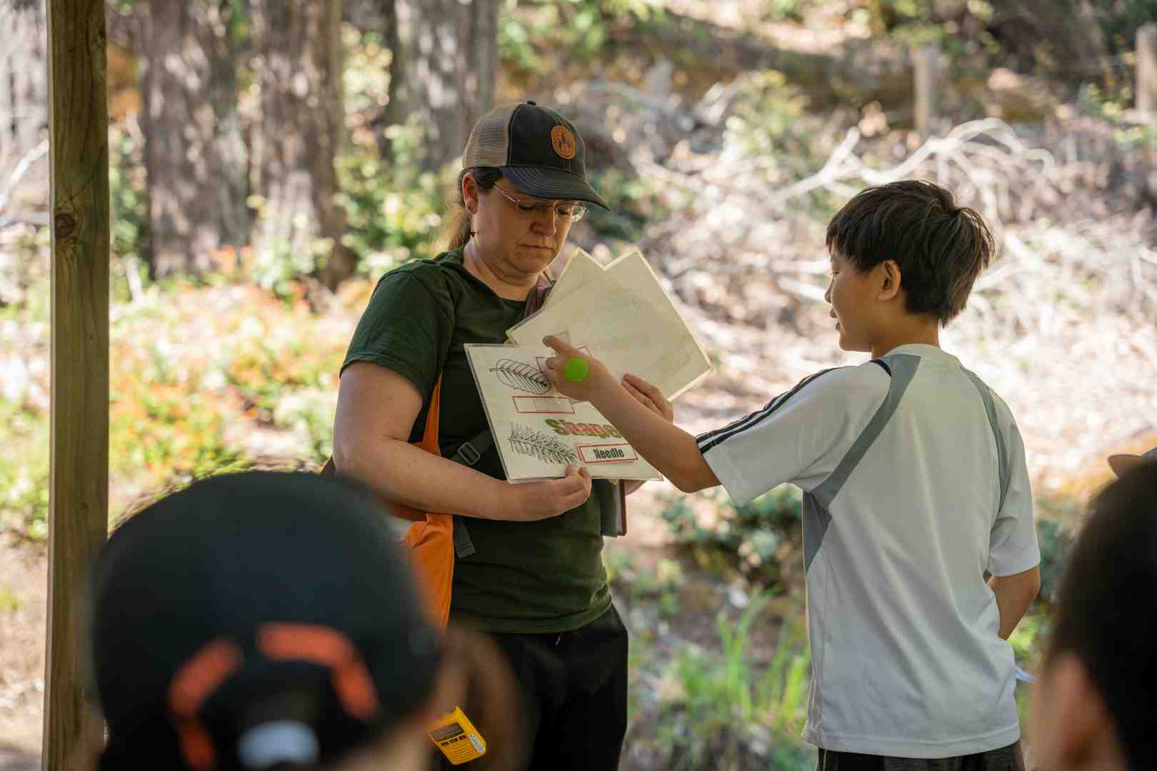 students conducting research - california outdoor education students conducting research - california outdoor education