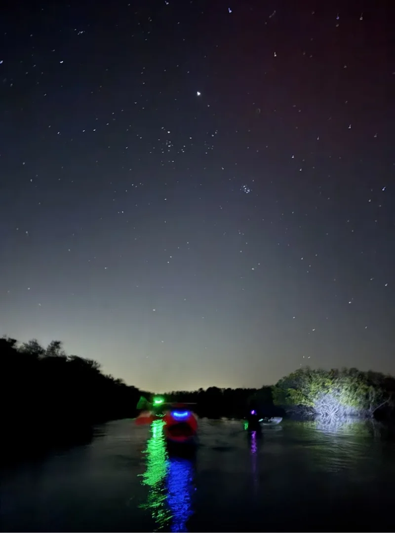 kayaks lined up at a protected Space Coast lagoon launch before a Florida bioluminescence tour kayaks lined up at a protected Space Coast lagoon launch before a Florida bioluminescence tour