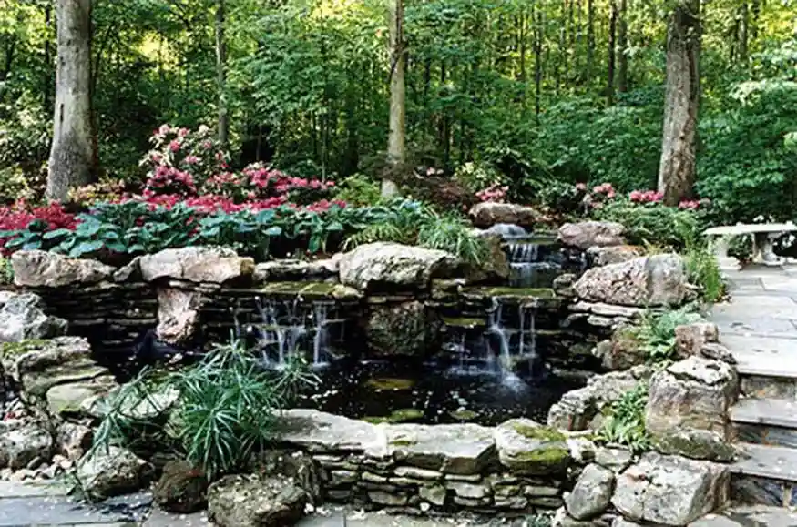 Natural Pool - cost to remodel a pool