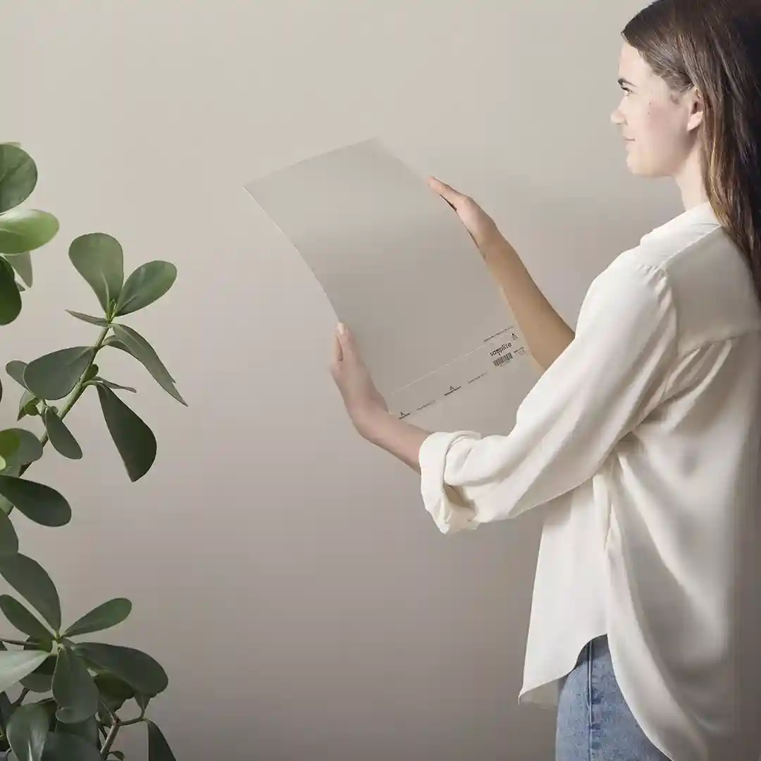 A homeowner comparing a peel-and-stick paint sample to a brushed-on liquid sample on a plaster wall A homeowner comparing a peel-and-stick paint sample to a brushed-on liquid sample on a plaster wall