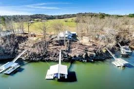 A variety of pet-friendly lakefront homes with private docks and people swimming with dogs in the clear water - birmingham