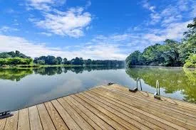 A family and their dog playing on a private dock at a Smith Lake lakefront home - lakefront homes smith lake al