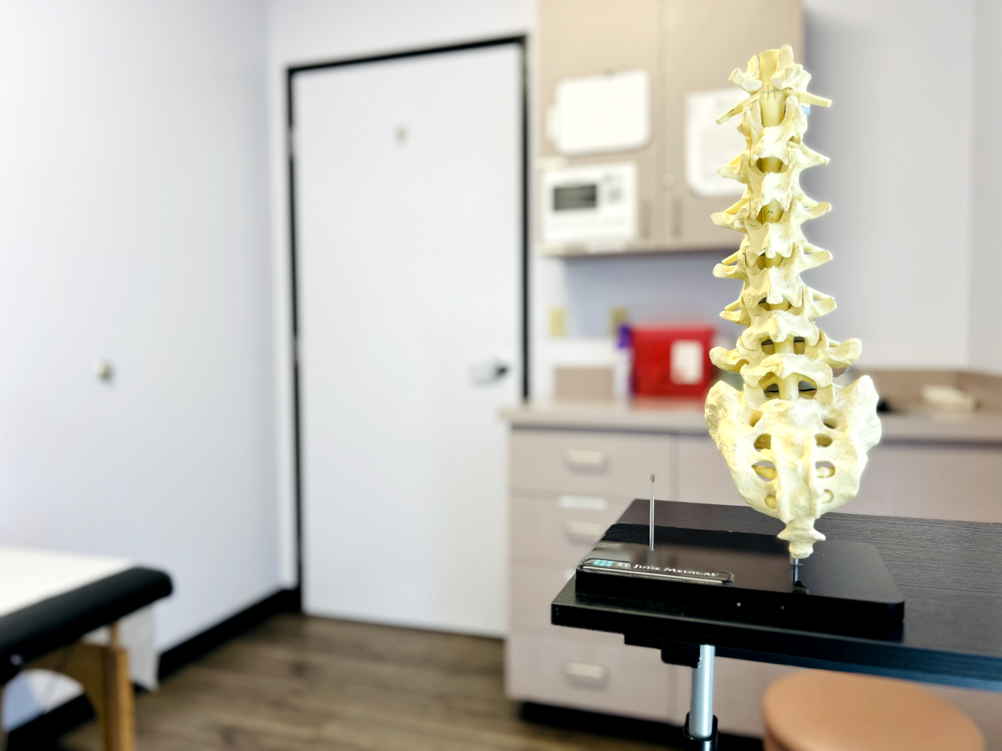 anatomy of lower back muscles and spine showing spasm regions anatomy of lower back muscles and spine showing spasm regions