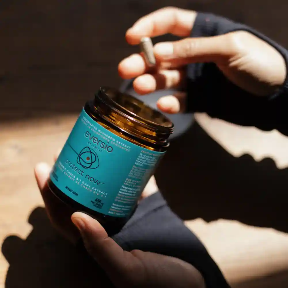 Eversio Wellness Chaga (Protect Now) capsules bottle next to a piece of raw Chaga mushroom - anti-inflammatory properties