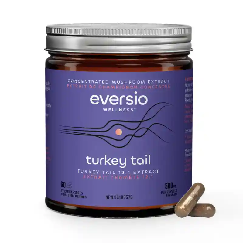 Turkey Tail mushroom extract capsules, a natural adaptogen and potent supplement used to proactively enhance immune response. Turkey Tail mushroom extract capsules, a natural adaptogen and potent supplement used to proactively enhance immune response.