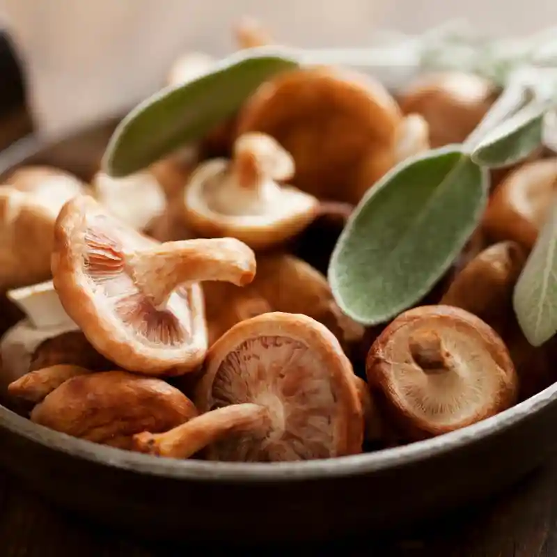 A bowl of fresh Shiitake mushrooms with sage leaves, representing the natural source of the impressive benefits of shiitake mushroom supplement.