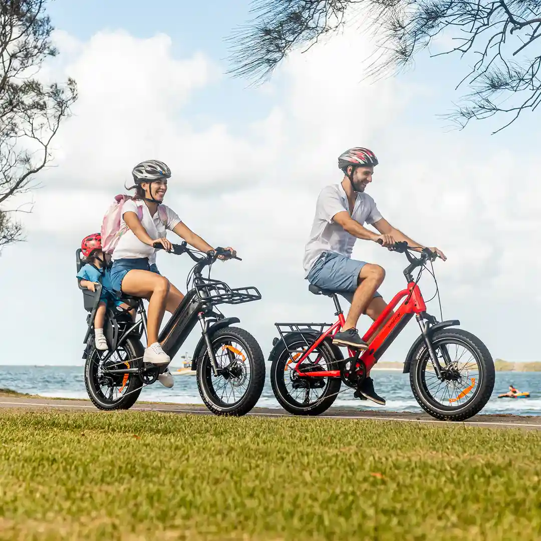 Happy ebike rider - Bafang ebike servicing
